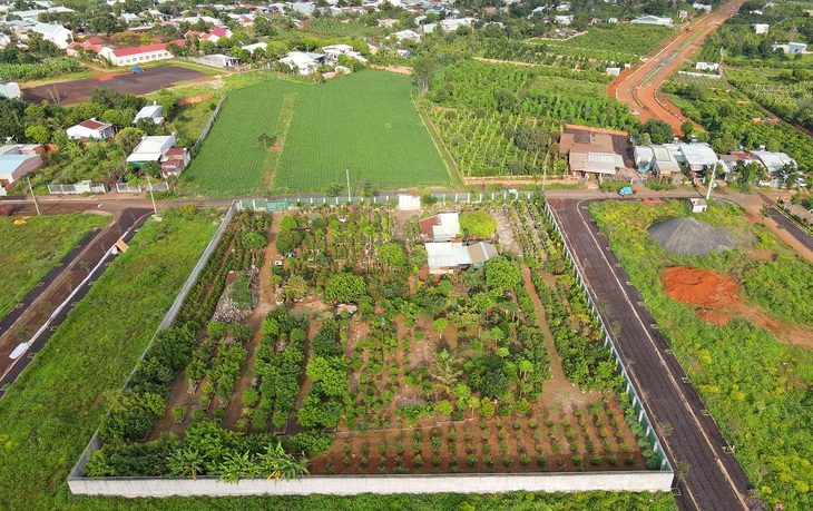 Dự án khu quy hoạch trung tâm hành chính và khu đô thị sinh thái phía Đông thị trấn Chư Sê - nơi xảy ra sai phạm điển hình khi đấu giá đất - Ảnh: K.L.