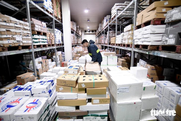 Trong kho lạnh giữa đêm để hàng hóa kịp giờ đến kệ hàng Tết - Ảnh: QUANG ĐỊNH
