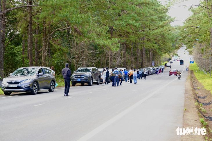 Du khách check-in tại con đường thông xanh dẫn vào Măng Đen, huyện Kon Plông, Kon Tum - Ảnh: HA NGUYEN