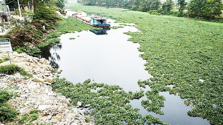 Kênh thủy lợi Bắc Hưng Hải đoạn tỉnh Hải Dương nhiều đoạn đang bị lấn chiếm, ô nhiễm trầm trọng - Ảnh: DANH KHANG
