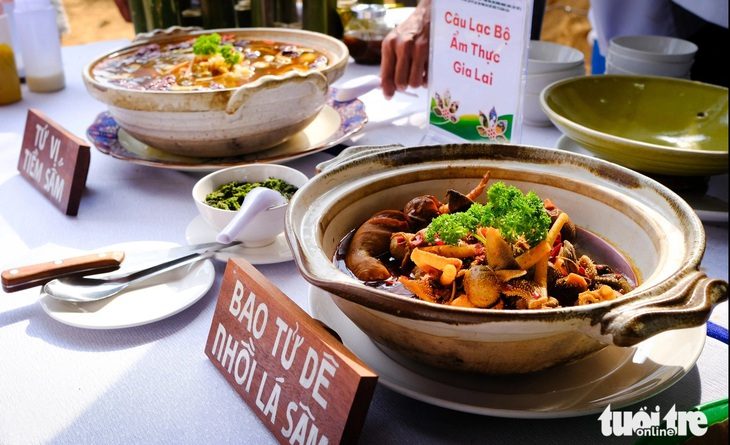 Những món ngon từ đẳng sâm được chế biến bởi các đầu bếp CLB Ẩm thực Gia Lai - Ảnh: TẤN LỰC