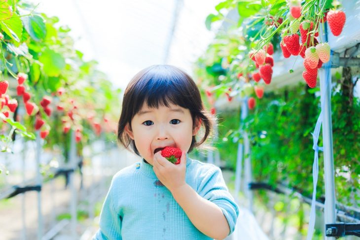 Dâu tây ngon nhưng ăn nhiều có tốt không? - Ảnh 1.