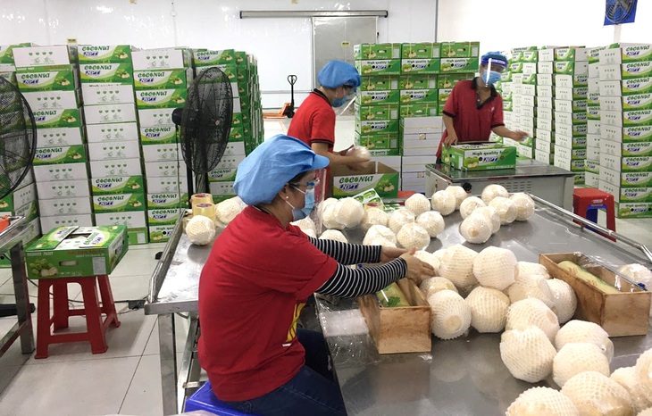 Để nông sản Việt có những thương hiệu kiểu nho mẫu đơn Hàn Quốc - Ảnh 1.