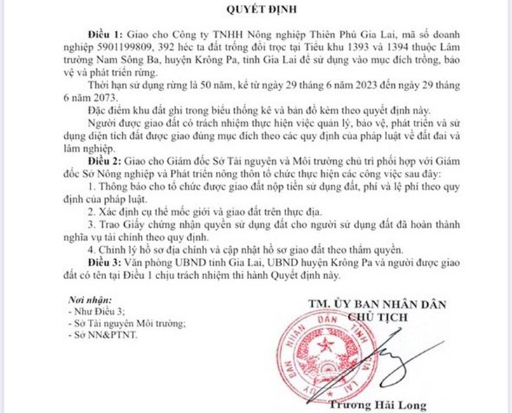 Quyết định giao đất giả được cho là do Nguyễn Thành Duy - em trai của chủ doanh nghiệp Thiên Phú Gia Lai thực hiện - Ảnh: H.C.Đ.