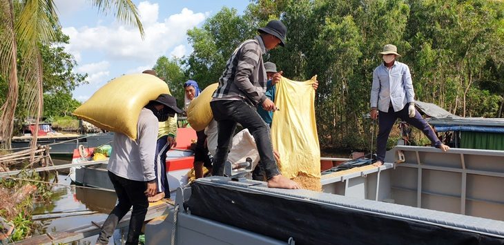 f5569fc9524fed11b45e-read-only-17387694808901727563431 Chưa thể vui dù giá lúa tăng lại - Ảnh 1.